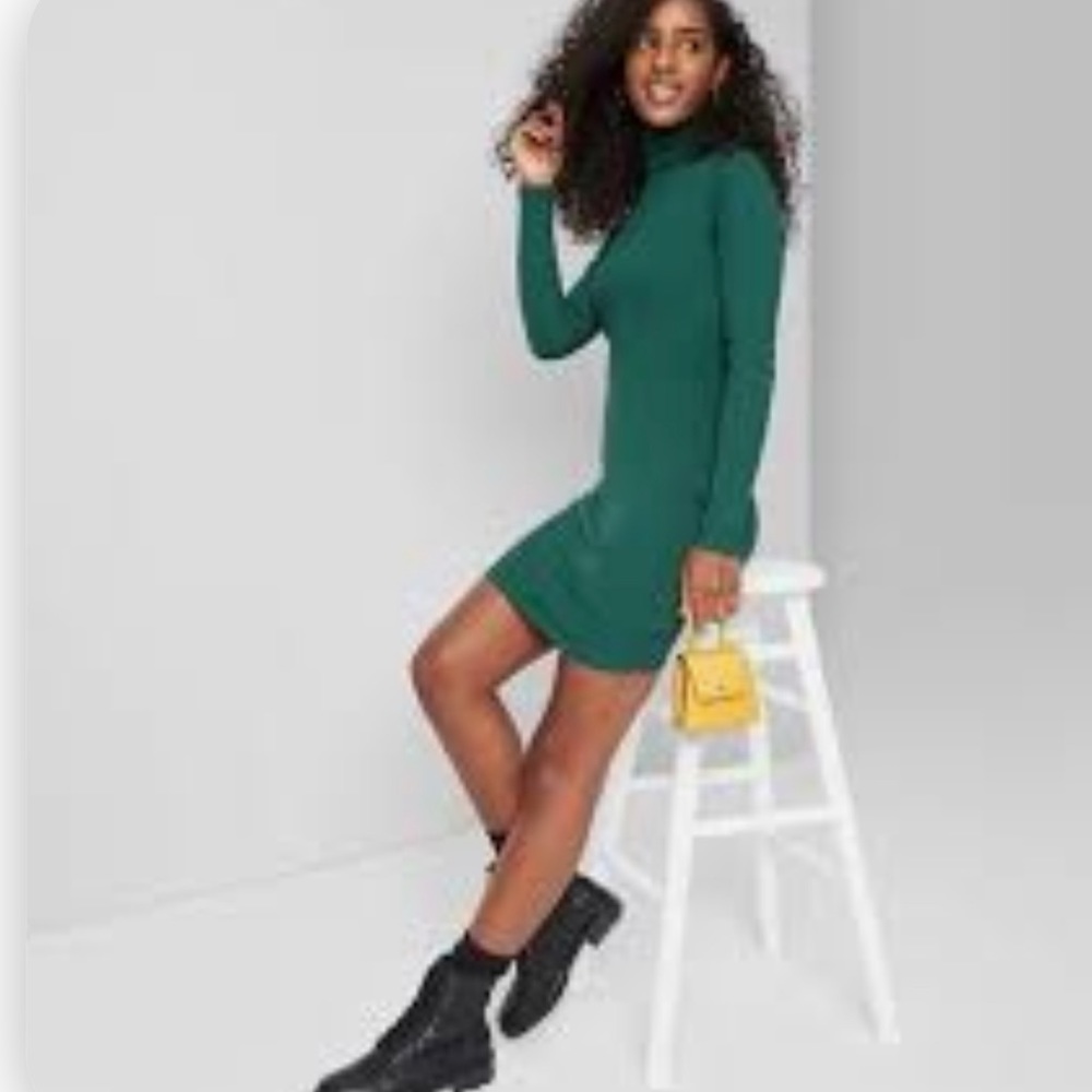 Wild Fable Turtle Neck Dress
